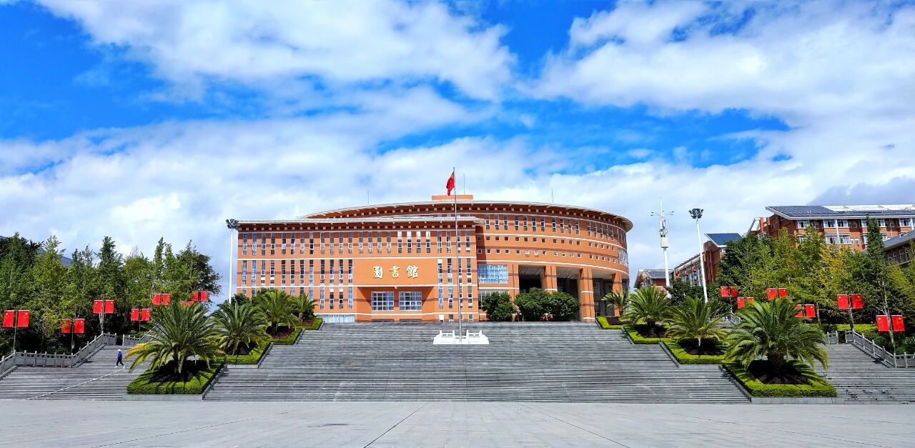 医路薪传 星光引航：2024-2025学年国家奖学金获得者风采